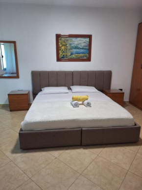 Bliri Ambasador 2